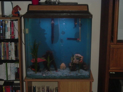 30 gallons
